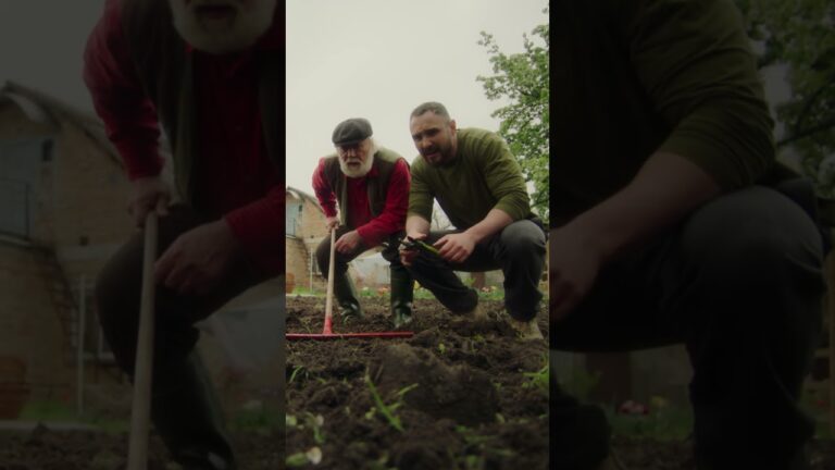 Фото для новини:Твій город та поле змінилися!