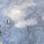 Фото для новини:Атака РФ на Київ: екологи виявили нові витоки нафти в озеро