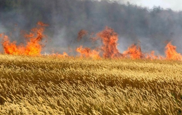 Фото для новини:На Запоріжжі через обстріли знищено понад 1800 гектарів посівів