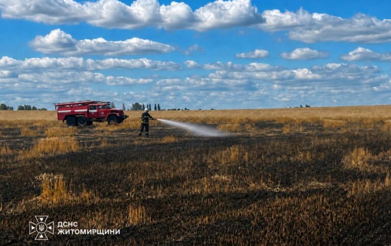 Фото для новини:На Житомирщині через атаку РФ вигоріло пшеничне поле