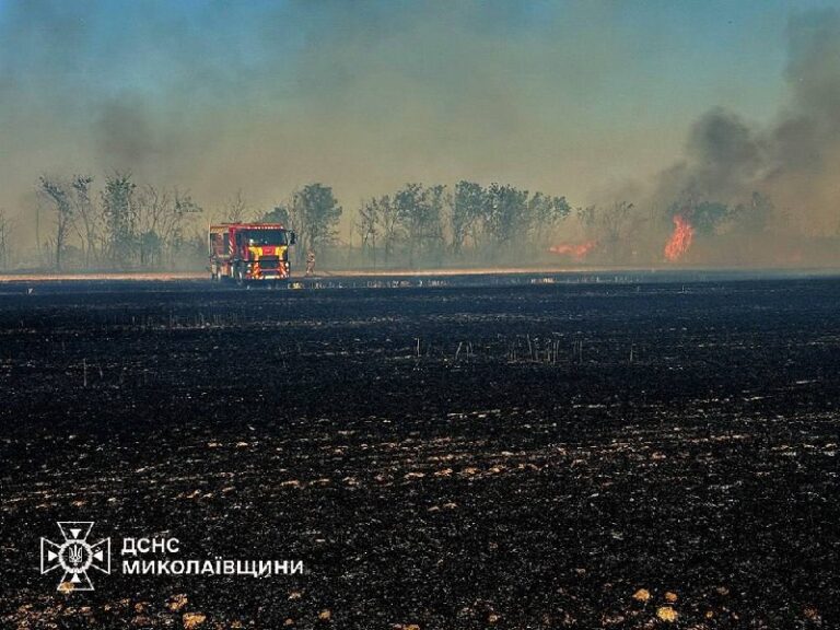 Фото для новини:Росііяни вдарили по полях на Миколаївщині