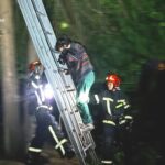 Фото для новини:У Львові рятувальники зняли з дерева жінку та її кота