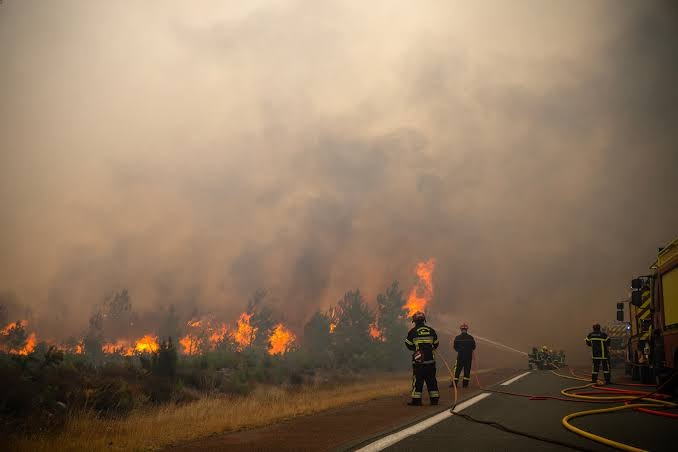 Фото для новини:Вогняний шторм. Лісові пожежі в Іспанії і Франції