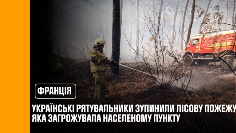 Фото для новини:Українські рятувальники у Франції зупинили лісову пожежу, яка загрожувала населеному пункту