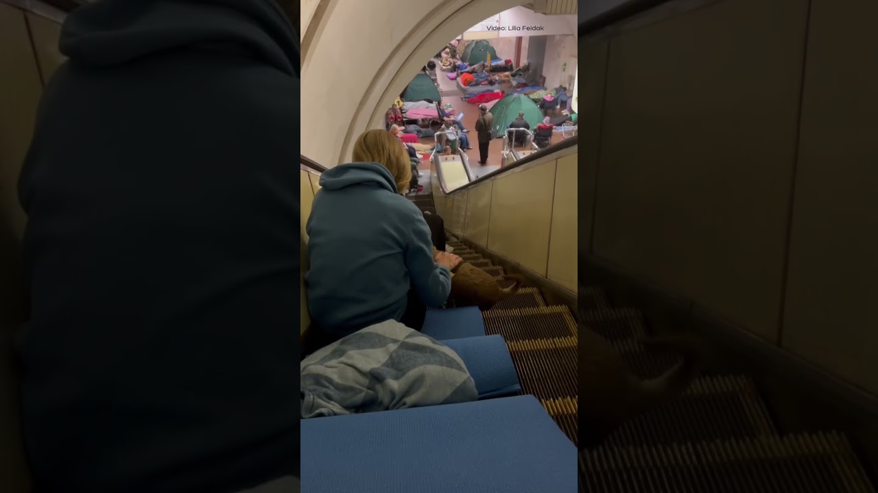 Фото для новини:A dog with a girl sheltering from Russia’s overnight attack in Kyiv’s metro