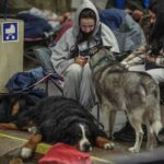 Фото для новини:Майже 9 годин тривоги: скільки людей було в метро Києва