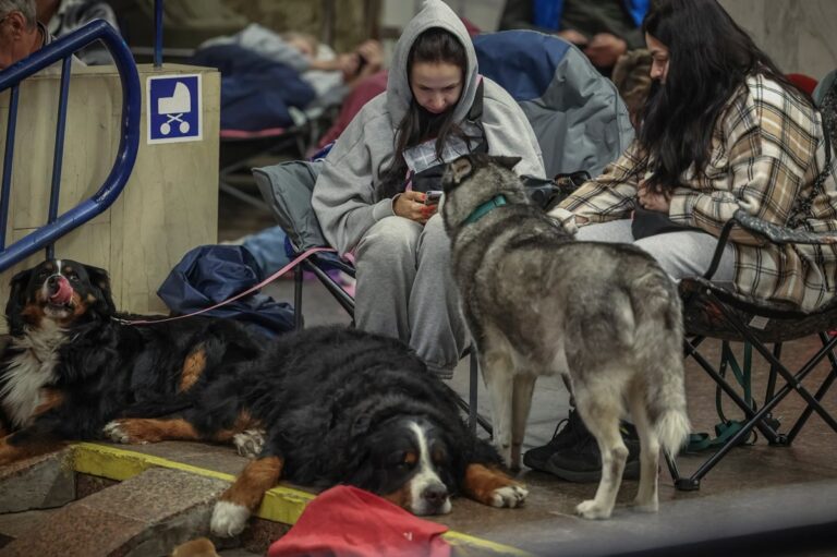Фото для новини:Майже 9 годин тривоги: скільки людей було в метро Києва