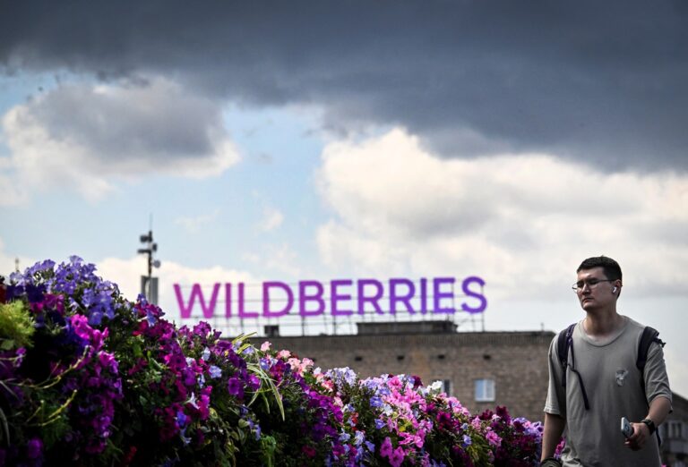 Фото для новини:Після атак у РФ Wildberries розширює логістику в Казахстані