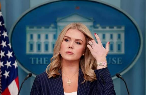 Фото для новини:Речниця Трампа Керолайн Левітт йде з посади