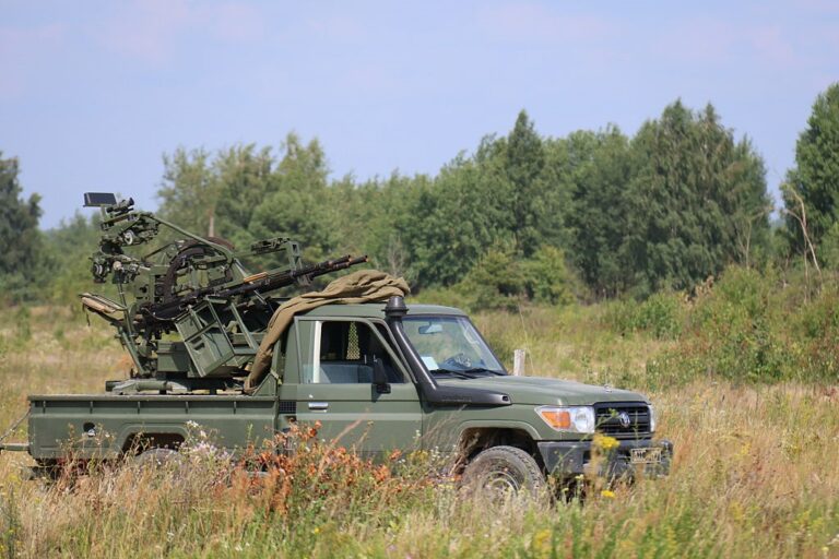 Фото для новини:Стало відомо, як відпрацювала ППО у ніч на 2 серпня