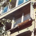Фото для новини:У Києві жінка викинула собаку з четвертого поверху