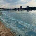Фото для новини:Зелений Дніпро та піна біля берегів: у КМДА пояснили причину