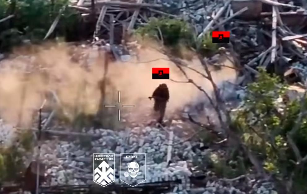 Фото для новини:ЗСУ взяли під контроль лісовий масив на Куп'янщині